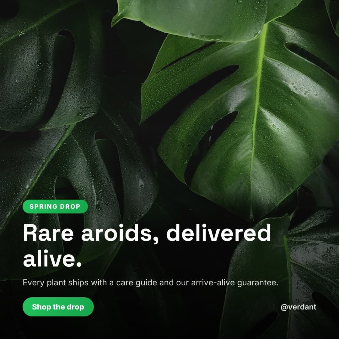 Example Plant shop post generated by Content Drifter