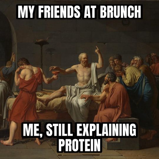 Socrates explaining meme: My friends at brunch / Me, still explaining protein