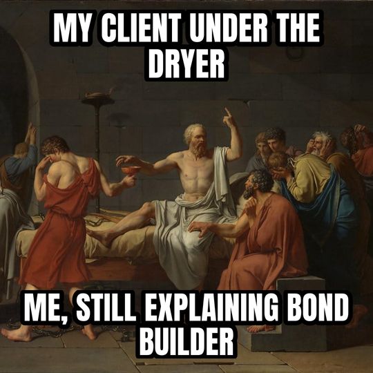 Socrates explaining meme: My client under the dryer / Me, still explaining bond builder