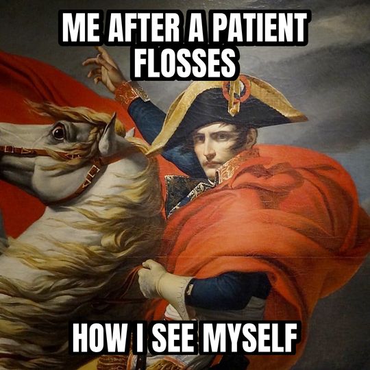 Napoleon crossing the Alps meme: Me after a patient flosses / How I see myself
