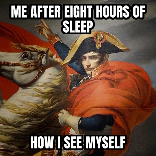 Napoleon crossing the Alps meme: Me after eight hours of sleep / How I see myself