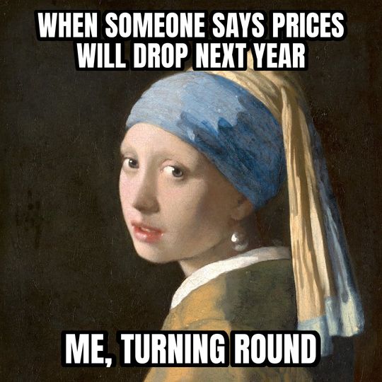 Girl with a Pearl Earring meme: When someone says prices will drop next year / Me, turning round
