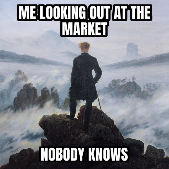 Wanderer above the fog meme: Me looking out at the market / Nobody knows