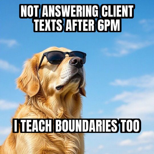 Deal With It meme: Not answering client texts after 6pm / I teach boundaries too