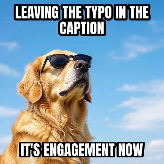 Deal With It meme: Leaving the typo in the caption / It's engagement now