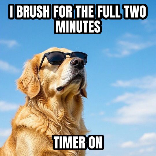 Deal With It meme: I brush for the full two minutes / Timer on