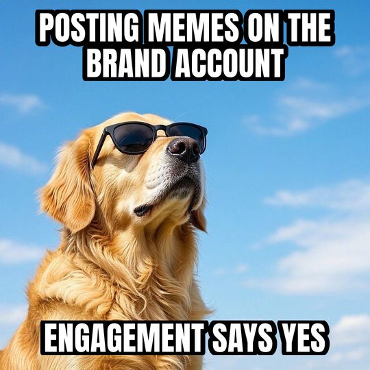 Deal With It meme: Posting memes on the brand account / Engagement says yes