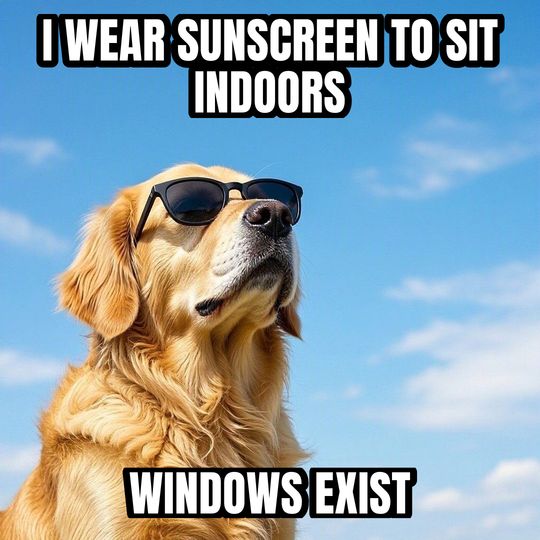 Deal With It meme: I wear sunscreen to sit indoors / Windows exist