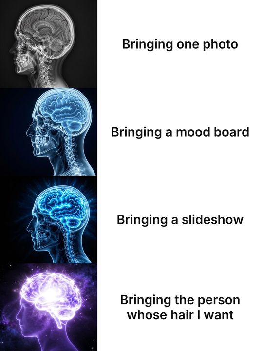 Expanding Brain meme: Bringing one photo / Bringing a mood board / Bringing a slideshow / Bringing the person whose hair I want