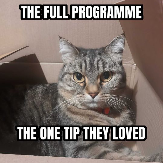 Cat in a box meme: The full programme / The one tip they loved