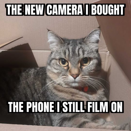 Cat in a box meme: The new camera I bought / The phone I still film on