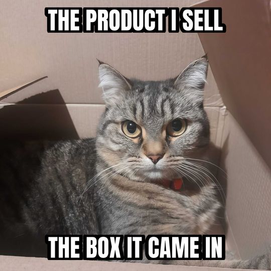 Cat in a box meme: The product I sell / The box it came in