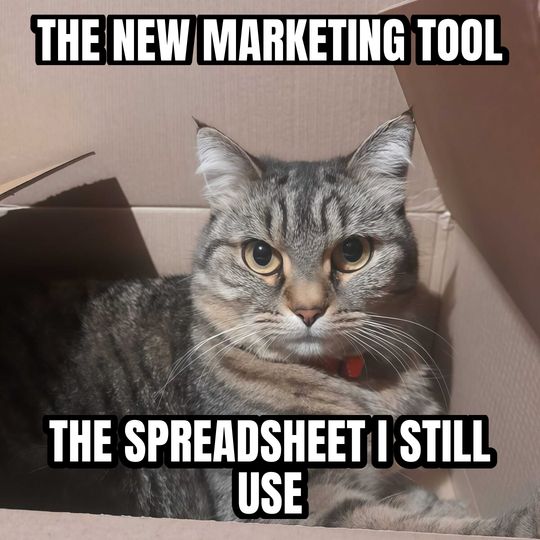Cat in a box meme: The new marketing tool / The spreadsheet I still use