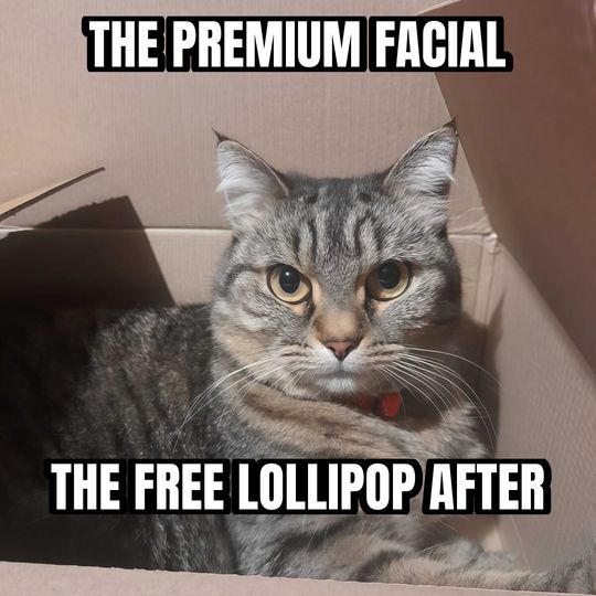 Cat in a box meme: The premium facial / The free lollipop after