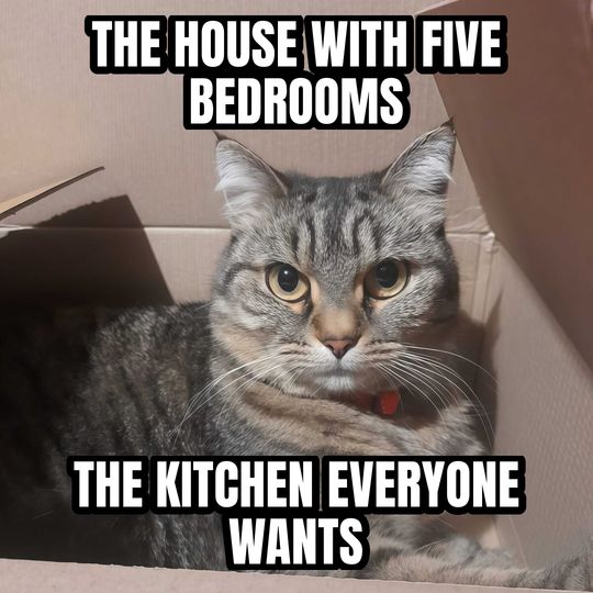 Cat in a box meme: The house with five bedrooms / The kitchen everyone wants