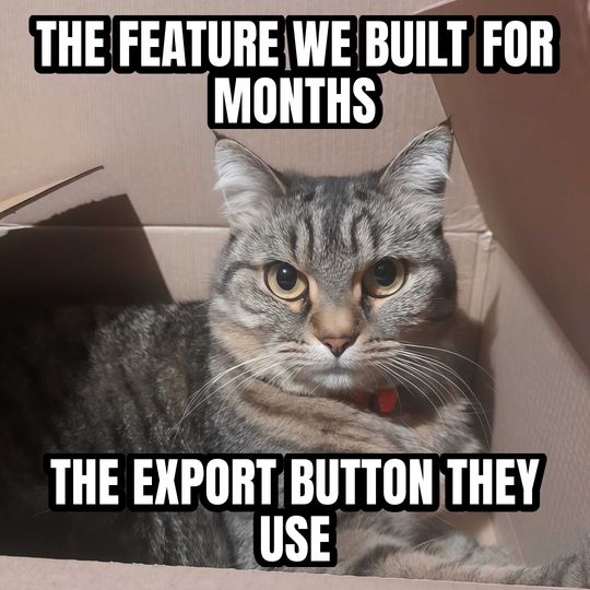 Cat in a box meme: The feature we built for months / The export button they use
