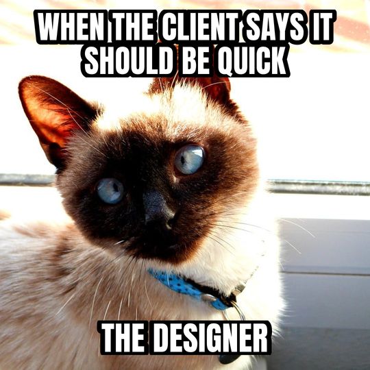 Side-eye cat meme: When the client says it should be quick / The designer