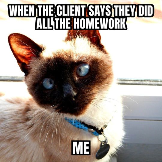 Side-eye cat meme: When the client says they did all the homework / Me