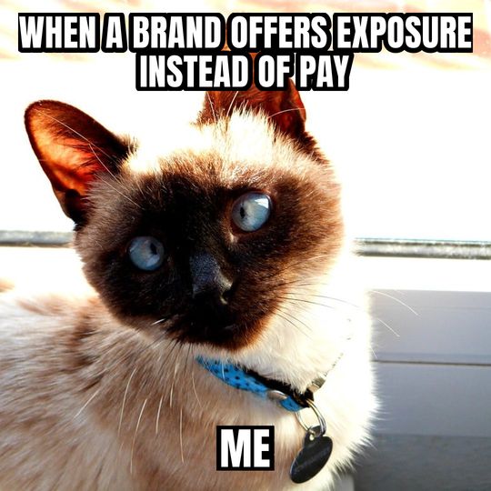 Side-eye cat meme: When a brand offers exposure instead of pay / Me