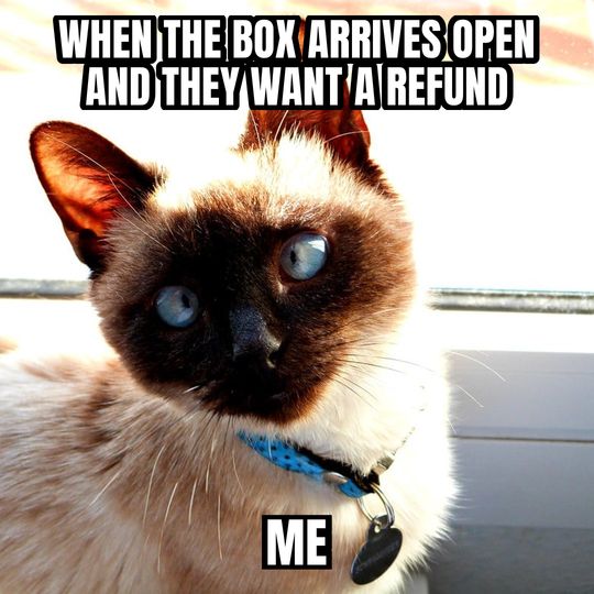 Side-eye cat meme: When the box arrives open and they want a refund / Me