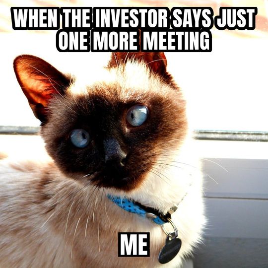 Side-eye cat meme: When the investor says just one more meeting / Me