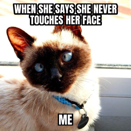 Side-eye cat meme: When she says she never touches her face / Me