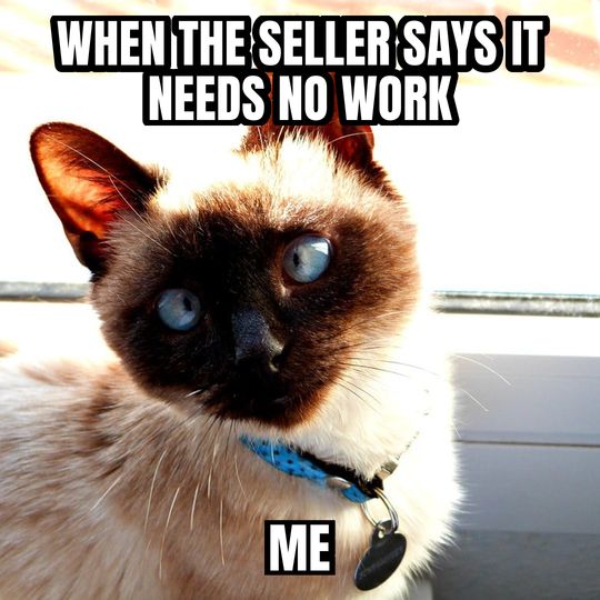 Side-eye cat meme: When the seller says it needs no work / Me