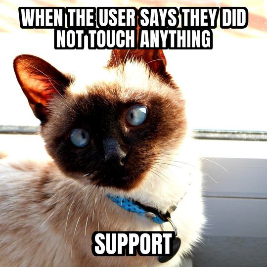 Side-eye cat meme: When the user says they did not touch anything / Support