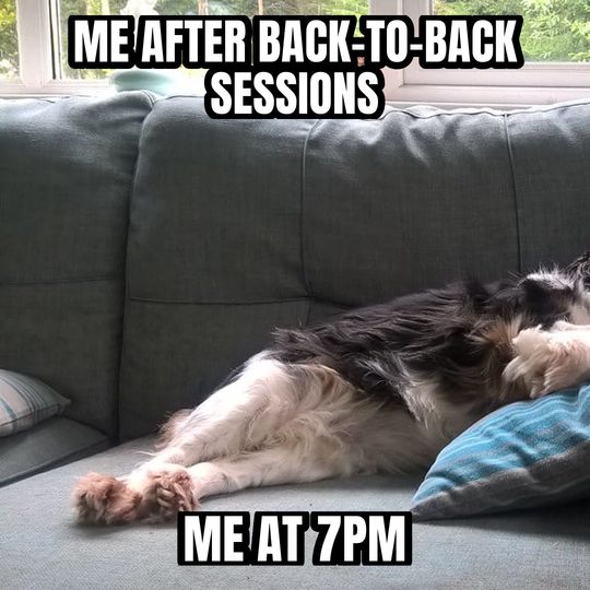 Sleeping dog meme: Me after back-to-back sessions / Me at 7pm