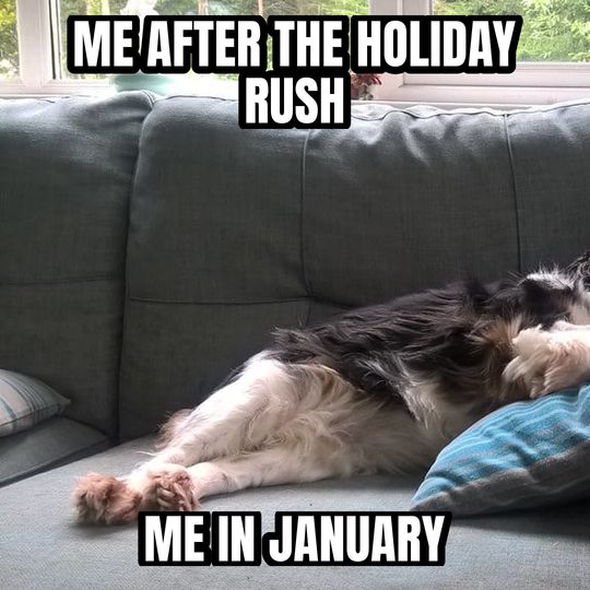 Sleeping dog meme: Me after the holiday rush / Me in January