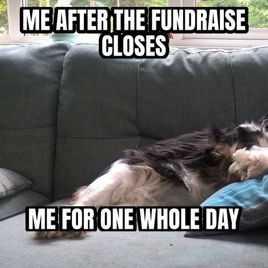 Sleeping dog meme: Me after the fundraise closes / Me for one whole day