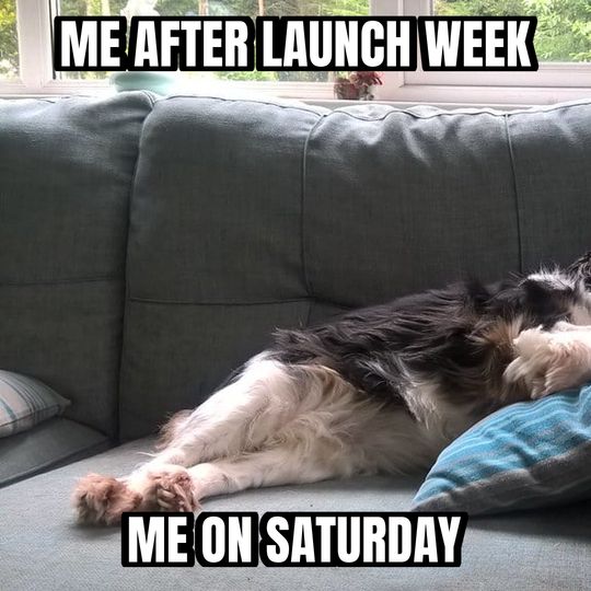Sleeping dog meme: Me after launch week / Me on Saturday