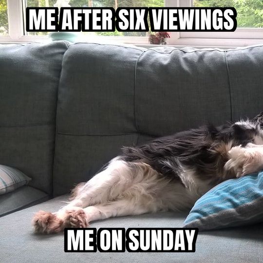 Sleeping dog meme: Me after six viewings / Me on Sunday