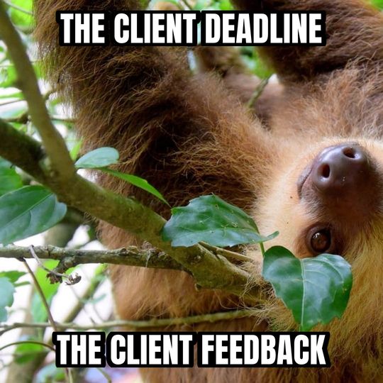 Slow sloth meme: The client deadline / The client feedback