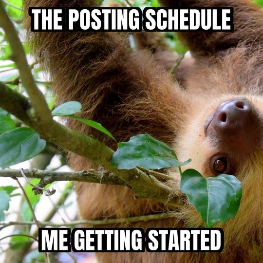 Slow sloth meme: The posting schedule / Me getting started