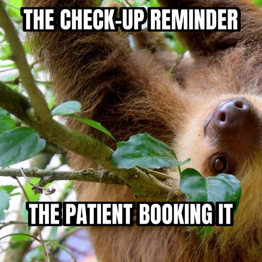 Slow sloth meme: The check-up reminder / The patient booking it