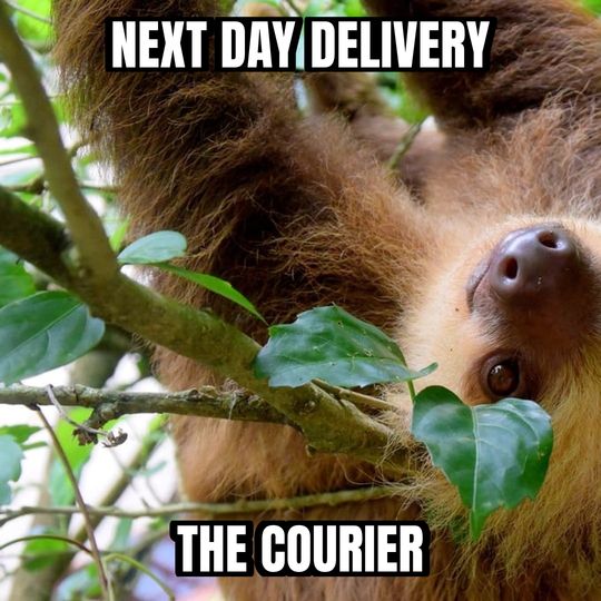 Slow sloth meme: Next day delivery / The courier