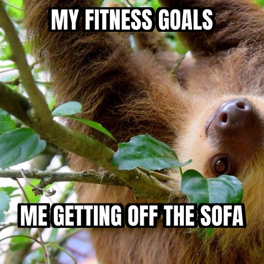 Slow sloth meme: My fitness goals / Me getting off the sofa