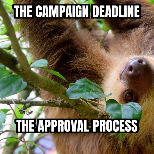 Slow sloth meme: The campaign deadline / The approval process
