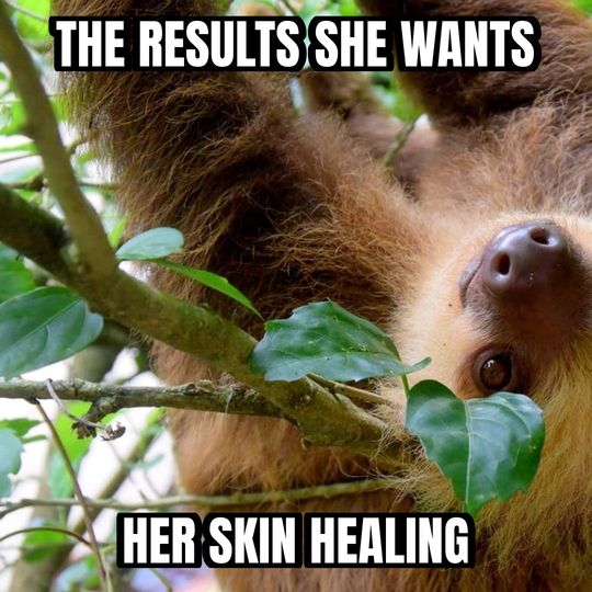 Slow sloth meme: The results she wants / Her skin healing