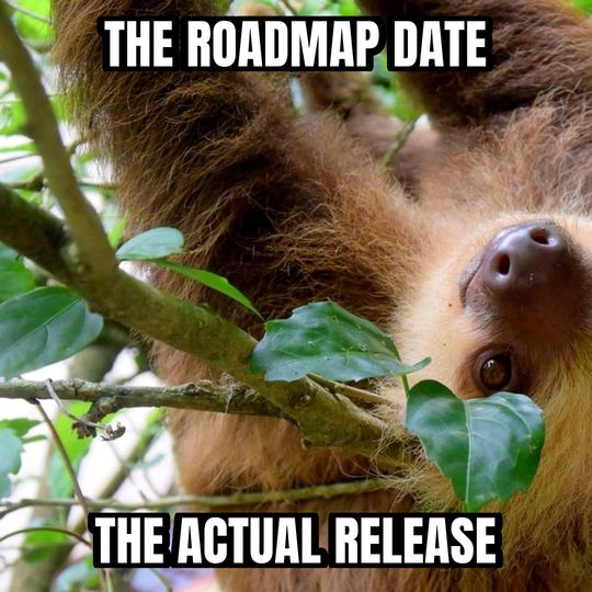 Slow sloth meme: The roadmap date / The actual release