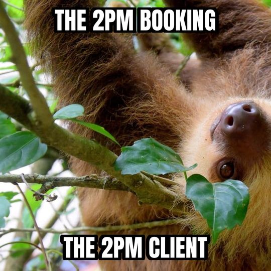 Slow sloth meme: The 2pm booking / The 2pm client