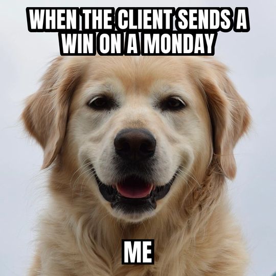 Happy dog meme: When the client sends a win on a Monday / Me