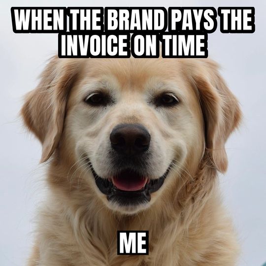 Happy dog meme: When the brand pays the invoice on time / Me
