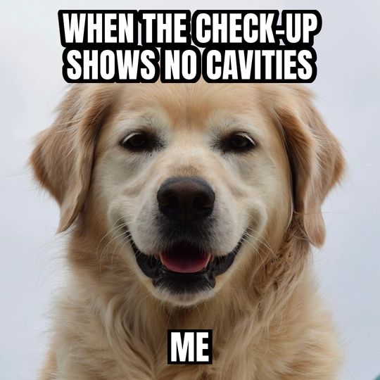 Happy dog meme: When the check-up shows no cavities / Me