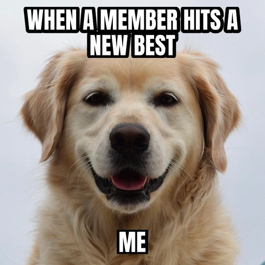 Happy dog meme: When a member hits a new best / Me