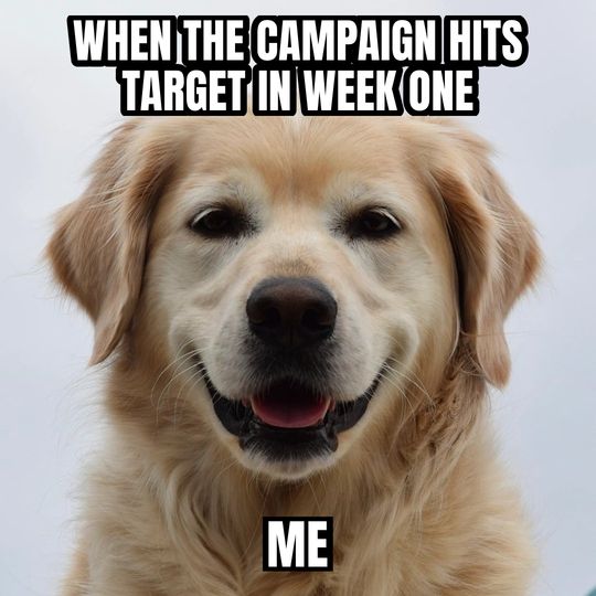 Happy dog meme: When the campaign hits target in week one / Me