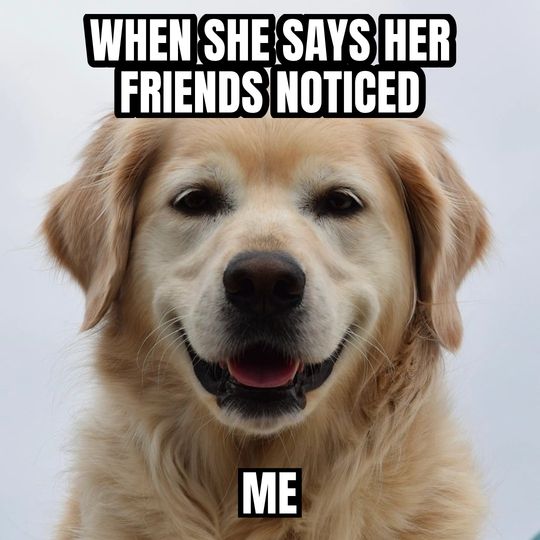 Happy dog meme: When she says her friends noticed / Me