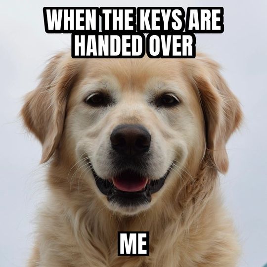 Happy dog meme: When the keys are handed over / Me