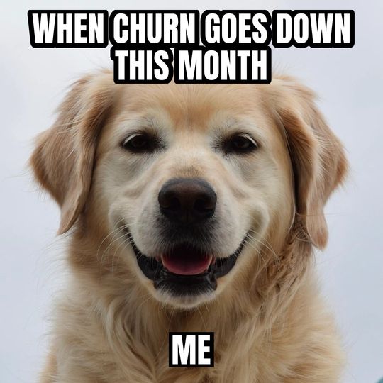 Happy dog meme: When churn goes down this month / Me